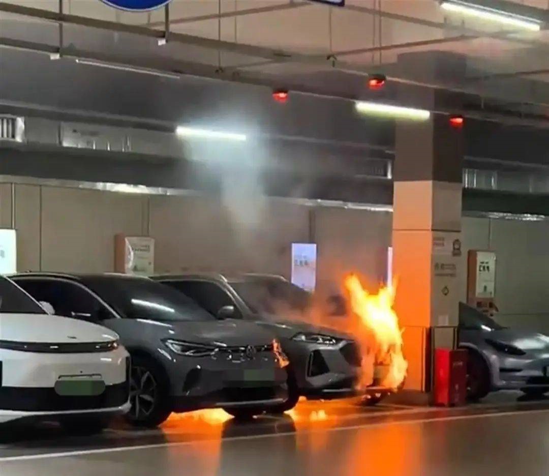 新能源電池防爆片